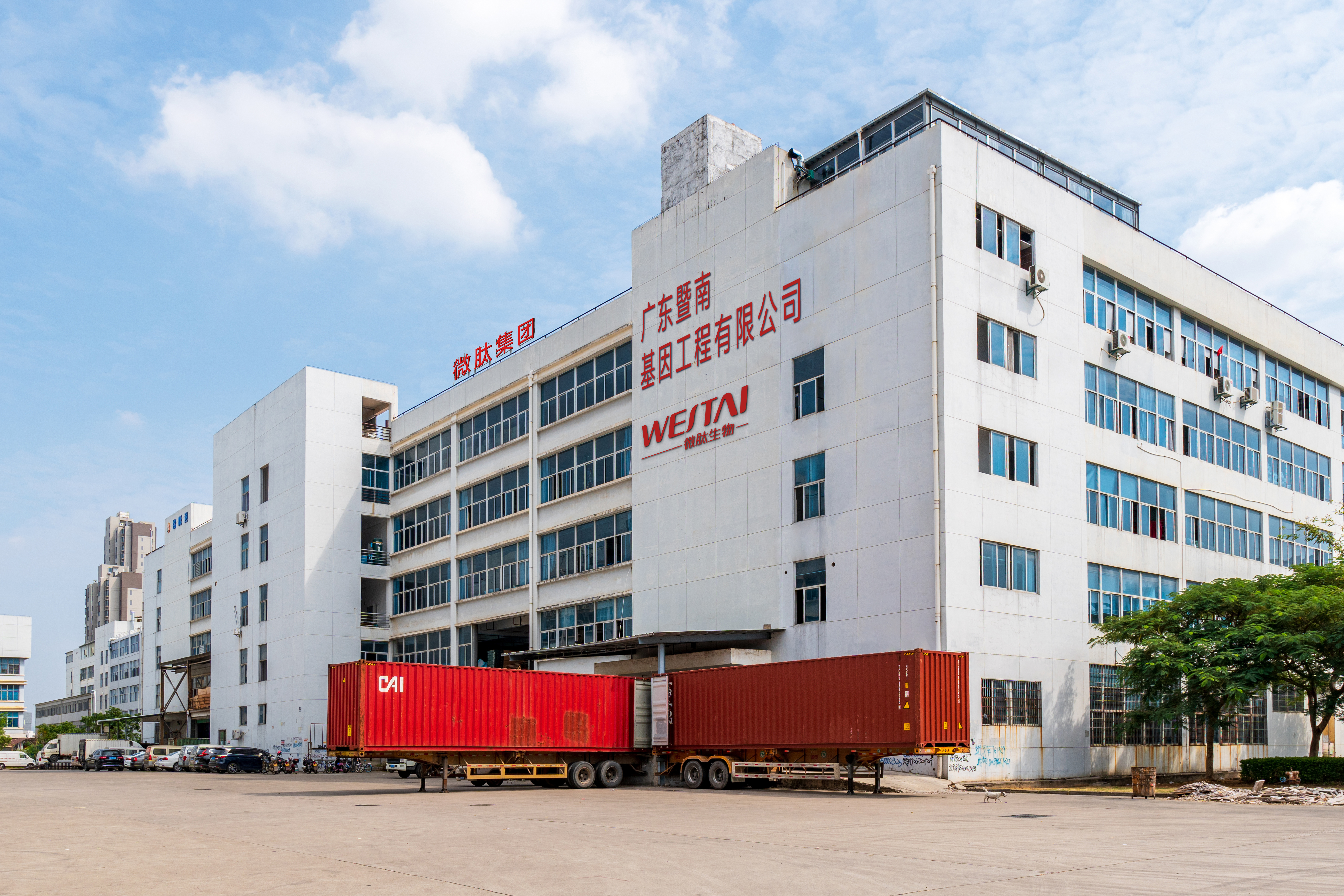 新锐品牌VS传统大牌：微肽生物OEM代工如何满足两类客户的“差异化需求”？